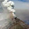  Núi lửa Mayon phun tro bụi ngày 23/1 vừa qua. (Ảnh: THX/TTXVN)
