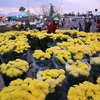 Chợ hoa chiều 29 Tết. (Ảnh: Kim Há/TTXVN)