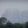 Sương mù bao phủ thành phố Brisbane của Australia. (Ảnh: AFP/TTXVN)