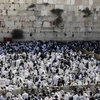 Các tín đồ Do Thái giáo cầu nguyện tại Lễ Vượt qua ở Bức tường phía Tây thành cổ Jerusalem ngày 2/4. (Ảnh: AFP/TTXVN)