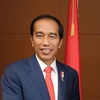 Tổng thống Indonesia Joko Widodo. (Ảnh: AFP/TTXVN)