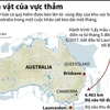 [Infographics] Hơn 100 loài cá quý hiếm được kéo lên từ đáy của biển