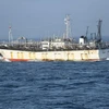 Một tàu cá Trung Quốc. (Ảnh: Maritime Executive/TTXVN)