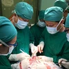 Các bác sỹ thực hiện một ca phẫu thuật cho bệnh nhân. (Ảnh: TTXVN)