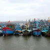 Tàu thuyền neo đậu tại cảng cá Tịnh Kỳ, thành phố Quảng Ngãi. (Ảnh: Phước Ngọc/TTXVN)