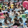 Người dân tránh nắng nóng tại bể bơi trong công viên ở thủ đô Tokyo, Nhật Bản ngày 16/7 vừa qua. (Ảnh: EPA/TTXVN)