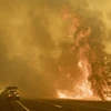 Lực lượng cứu hỏa dập lửa cháy rừng ở dọc đường cao tốc 20, gần Clearlake Oaks, California của Mỹ ngày 1/7 vừa qua. (Ảnh: AFP/TTXVN)