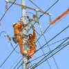 Công nhân điện lực thay mới đường dây cấp điện. (Ảnh: Nguyên Linh/TTXVN)