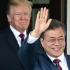 Tổng thống Hàn Quốc Moon Jae-in và người đồng cấp Mỹ Donald Trump. (Ảnh: TTXVN phát)