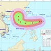 Chùm ảnh đường đi và vị trí cơn bão. (Nguồn:nchmf.gov)