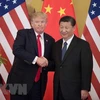Tổng thống Mỹ Donald Trump (trái) và Chủ tịch Trung Quốc Tập Cận Bình. (Nguồn: AFP/TTXVN)