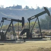 Giàn khoan hoạt động tại giếng dầu của Tập đoàn Chevron ở Bakersfield, California của Mỹ. (Ảnh: AFP/TTXVN)