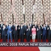 Lãnh đạo và đại diện các nền kinh tế Diễn đàn Hợp tác Kinh tế châu Á-Thái Bình Dương (APEC) chụp ảnh chung tại Hội nghị cấp cao APEC ở Port Moresby, Papua New Guinea. (Ảnh: THX/TTXVN)