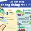 [Infographics] Các biện pháp phòng chống rét cho lúa và rau màu