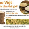 [Infographics] Sắp công bố Logo thương hiệu quốc gia gạo Việt Nam