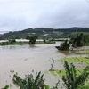 Nhiều vườn rau Tết bên sông Đa Nhim bị ngập nước do thuỷ điện Đa Nhim tiến hành xả lũ. (Ảnh: Nguyễn Dũng/TTXVN)