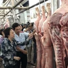 TP Hồ Chí Minh ngăn dịch tả lợn châu Phi xâm nhập từ các cửa ngõ