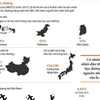 [Infographics] Bạo lực học đường - Vấn đề nan giải trên toàn cầu