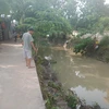 Suối Bà Lúa nơi xảy ra vụ tai nạn nước thường dâng cao gây ngập đường vào những khi trời mưa lớn. (Ảnh: Sỹ Tuyên/TTXVN)