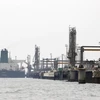 Một cơ sở khai thác dầu trên đảo Khark của Iran ở ngoài khơi vùng Vịnh Persian. (Ảnh: AFP/TTXVN)