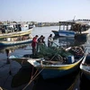 Ngư dân Palestine làm sạch lưới sau chuyến đi câu cá đêm, tại cảng biển Gaza. (Nguồn: AP)