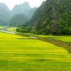 Bí kíp đi du lịch ở Ninh Bình giữa “mùa vàng” Tam Cốc