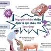 [Infographics] Nguyên nhân khiến dịch tả lợn châu Phi lan rộng