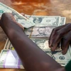 Kiểm đồng USD tại Mutoko của Zimbabwe. (Ảnh: AFP/TTXVN)