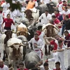 Du khách tại lễ hội rượt bò San Fermin ở Pamplona của Tây Ban Nha, ngày 9/7 vừa qua. (Ảnh: AFP/TTXVN) 