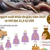 Kim ngạch xuất khẩu da giày năm 2019 có thể đạt 21,5 tỷ USD