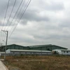 Hàng loạt doanh nghiệp xây dựng nhà máy, kho xưởng quy mô lớn trên đất rừng tại khu quy hoạch cụm công nghiệp Phước Tân. (Ảnh: Sỹ Tuyên/TTXVN)