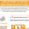 [Infographics] 1/4 dân số thành thị thế giới sống trong khu ổ chuột