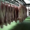 Các sản phẩm thịt lợn tại nhà máy chế biến thực phẩm ở ngoại ô thủ đô Sofia, Bulgaria. (Nguồn: AFP/TTXVN)