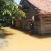 Mưa lớn kéo dài gây ngập cục bộ nhiều nơi tại tỉnh Lâm Đồng