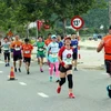 Các vận động viên tranh tài trên đường chạy Marathon Quốc tế Đà Nẵng 2019. (Ảnh: Trần Lê Lâm/TTXVN)