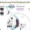[Infographics] Thiệt hại do mưa, lũ tại Tây Nguyên và Nam Bộ