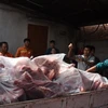 Thịt lợn dương tính với virus dịch tả lợn châu Phi bị đem đi tiêu hủy. (Ảnh: Lê Xuân/TTXVN)