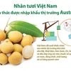 Nhãn tươi Việt Nam chính thức được nhập khẩu thị trường Australia