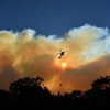 Các đám cháy rừng bùng phát dữ dội ở Paradise, California, Mỹ, ngày 11/11/2018. (Ảnh: AFP/TTXVN)