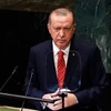 Tổng thống Thổ Nhĩ Kỳ Tayip Erdogan. (Ảnh: IRNA/TTXVN)