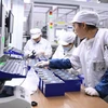 Công nhân làm việc tại nhà máy ở Ninh Đức, tỉnh Phúc Kiến, đông nam Trung Quốc, ngày 11/9 vừa qua. (Ảnh: THX/TTXVN)