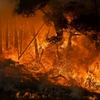 Cháy rừng bang California của Mỹ. (Ảnh: AFP/TTXVN)