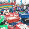 Hàng trăm tàu cá công suất lớn cập cảng Lạch Quèn ở xã Quỳnh Thuận, huyện Quỳnh Lưu, tỉnh Nghệ An, để trú bão và bán hải sản. (Ảnh: Nguyễn Oanh/TTXVN)