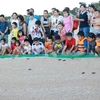 Học sinh tham gia thả rùa con về biển tại Vườn Quốc gia Núi Chúa ở tỉnh Ninh Thuận là hoạt động có ý nghĩa giáo dục lòng yêu thiên nhiên, nâng cao ý thức bảo vệ rùa biển. (Ảnh: Nguyễn Thành/TTXVN)