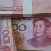 Đồng tiền mệnh giá 100 nhân dân tệ tại Bắc Kinh, Trung Quốc. (Ảnh: AFP/TTXVN)