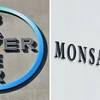 Biểu tượng Bayer và Monsanto. (Ảnh: AFP/TTXVN)