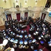 Toàn cảnh phiên họp Thượng viện Argentina tại Buenos Aires. (Ảnh: AFP/TTXVN)