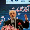Người đứng đầu Tổ chức Năng lượng Nguyên tử Iran (AEOI) Ali Akbar Salehi phát biểu tại một sự kiện ở Bushehr ngày 10/11 vừa qua. (Ảnh: AFP/TTXVN)