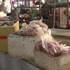 Hàng trăm kg thịt lợn hôi thối bị lực lượng chức năng phát hiện. (Ảnh: Đậu Tất Thành/TTXVN)
