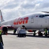 Máy bay của hãng hàng không Lion Air tại sân bay ở Palu của Indonesia. (Ảnh: AFP/TTXVN)